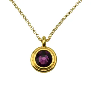 February Birthstone Necklace