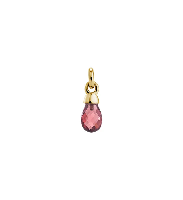 GARNET CHARM