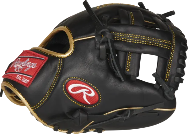 Rawlings R9 9.5 inch Training Glove R9TRBG