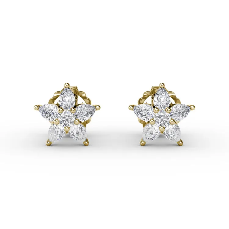 Shine Bright Diamond Star Stud Earrings