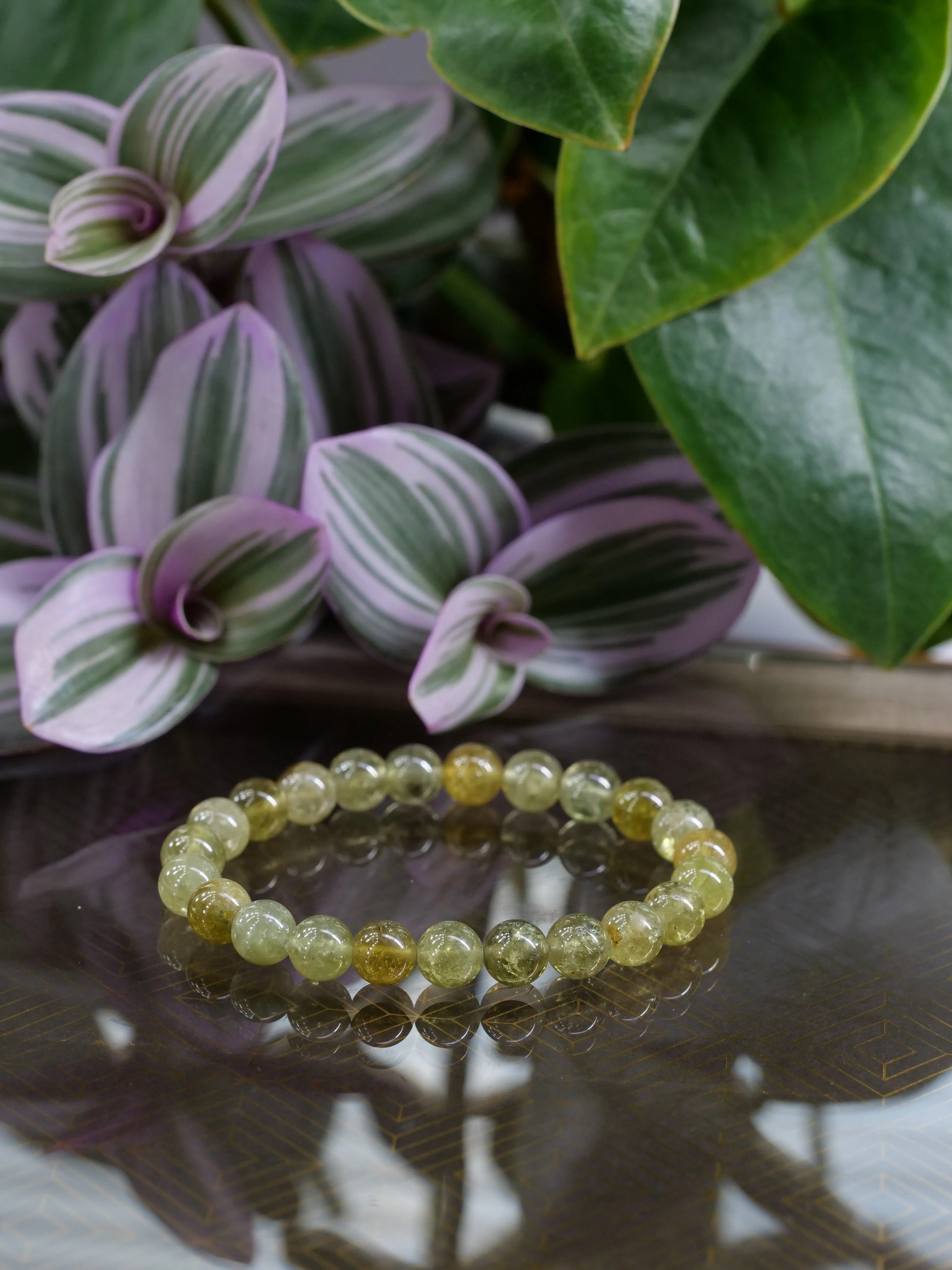Tsavorite Garnet 8mm Beaded Natural Gemstone Elastic Bracelet, Genuine Top Grade Gift Jewelry, Men Women Fashion Crystal Energy Jewellery